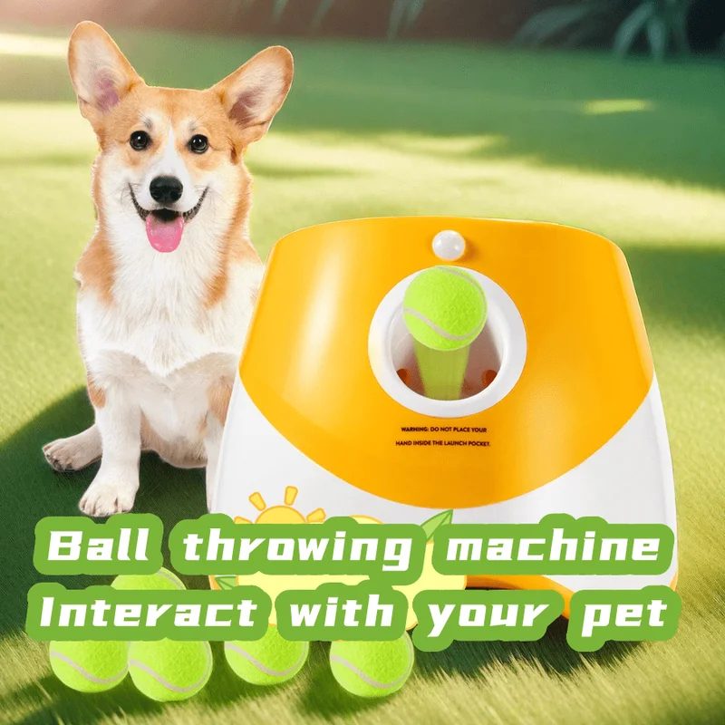 Pelontar Anjing Otomatis, Main - Catapult Launcher Toy ulasan dan harga